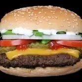 classic cheese burger